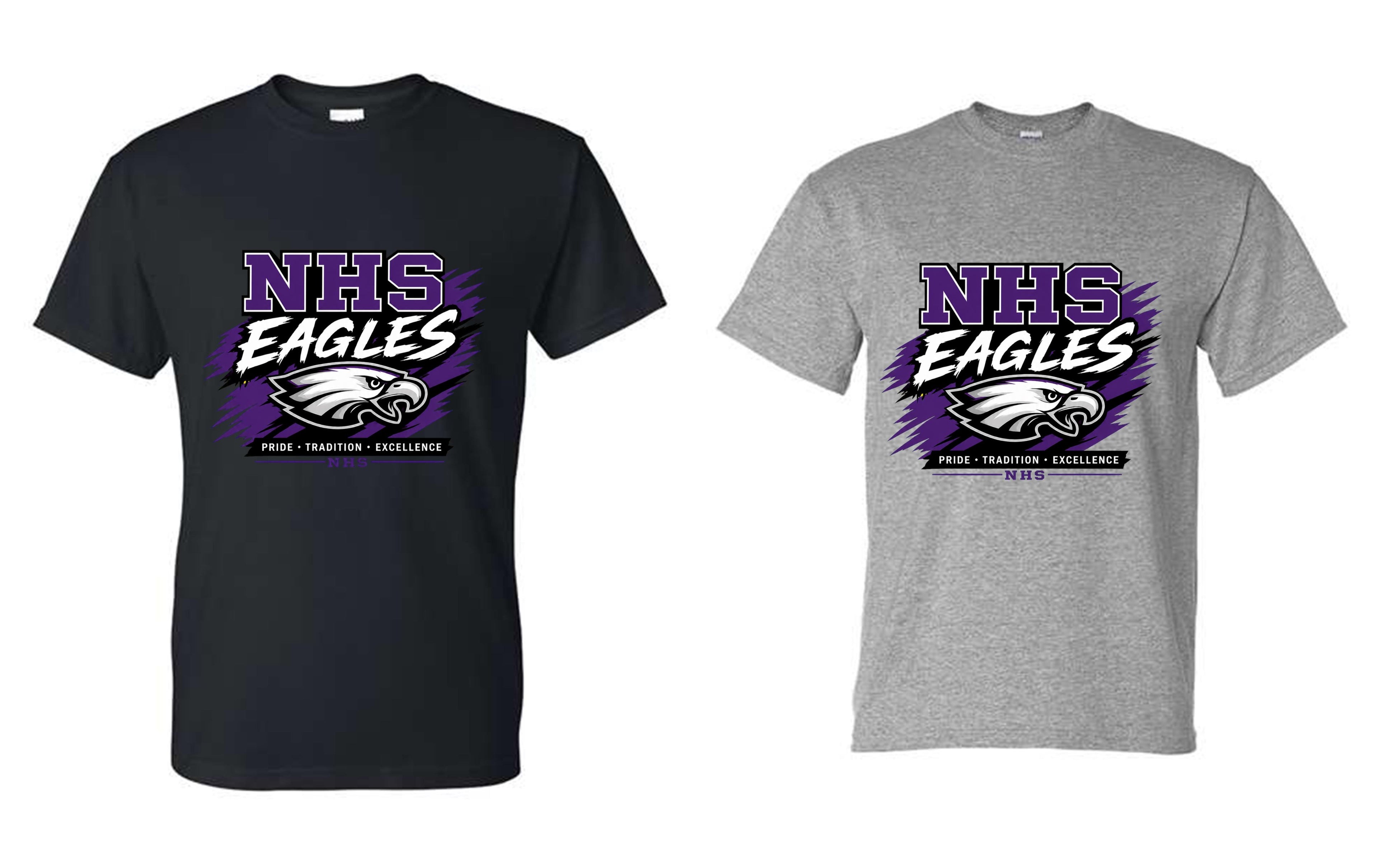 NEWTON EAGLES WITH EAGLE HEAD PRIDE TRADITION EXCELLENCE