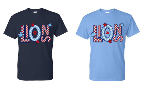CCA Lions color blocked