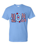 CCA Lions color blocked
